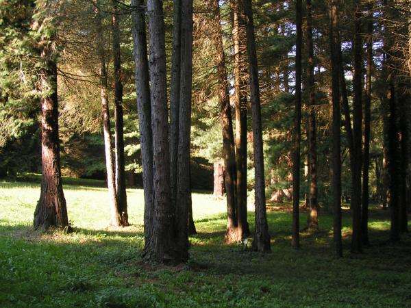 pict3728 (web)